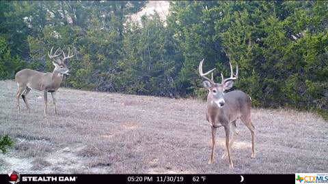 3719 Fm 929 - Photo 1