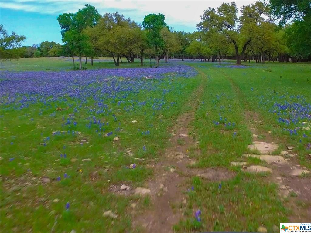 445 County Road 133 - Photo 1
