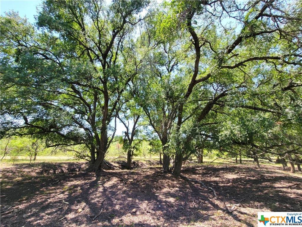 14609 Buckhorn Cemetery Road - Photo 1