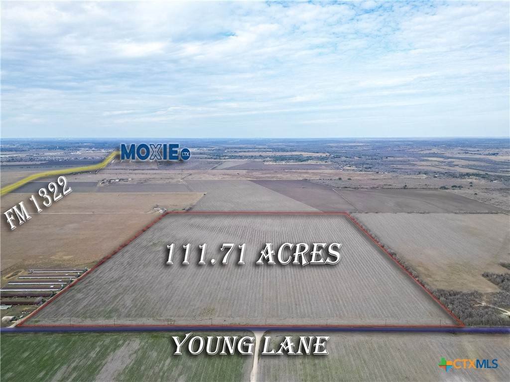 TBD Young Lane - Photo 1