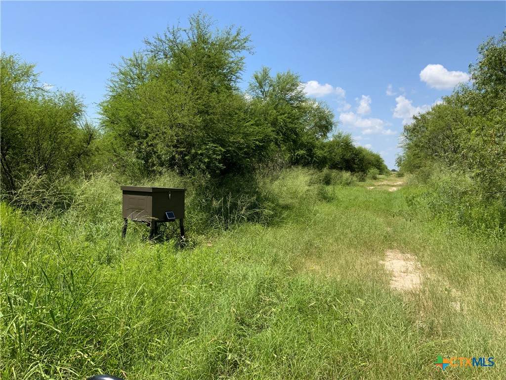TBD County Road 1144 - Photo 1