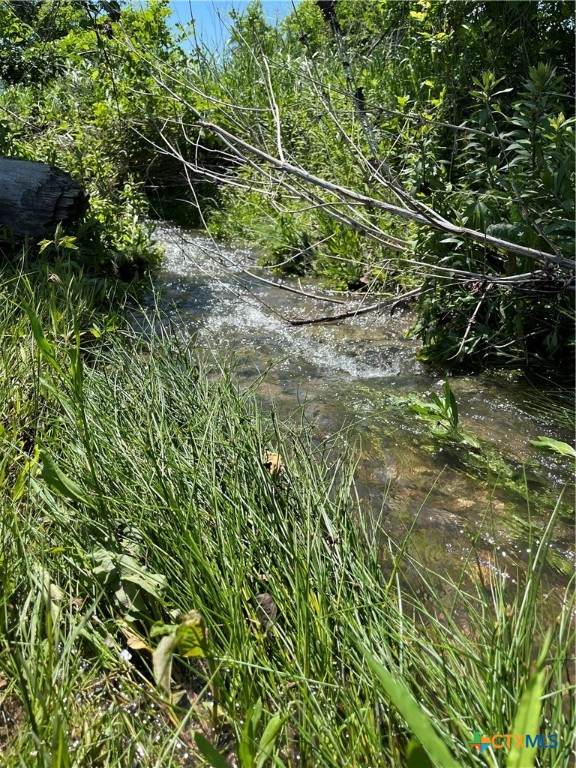 16071 Fm 107 - Photo 1