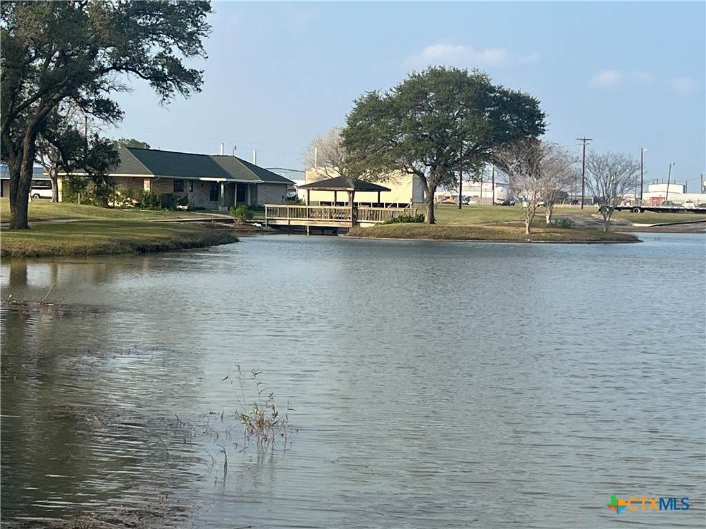 23409 Zac Lentz Parkway - Photo 1