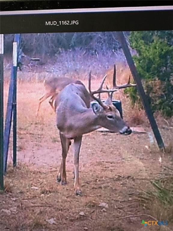 0 TBD Us-183 - Photo 1