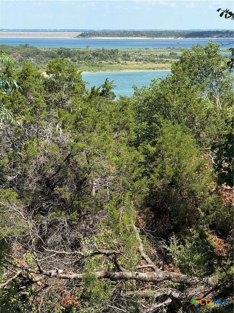 0000 Elf Trail - Photo 1