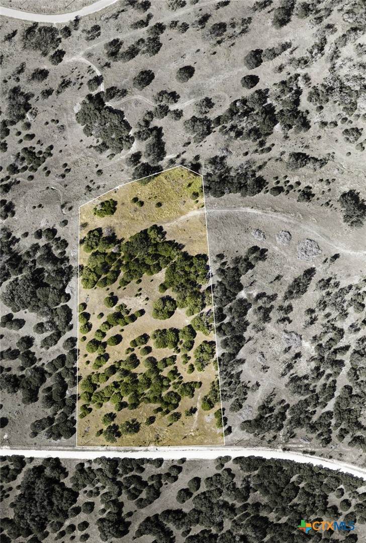 TBD County Road 160 - Photo 1