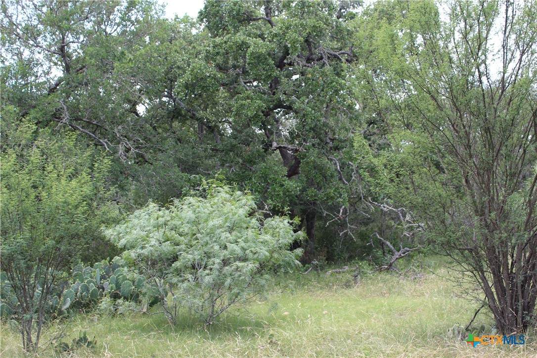 0 Fm 3353 - Photo 1