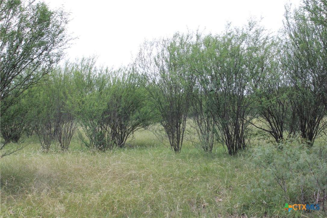 https://bt-photos.global.ssl.fastly.net/centraltx/orig_boomver_3_602654-2.jpg