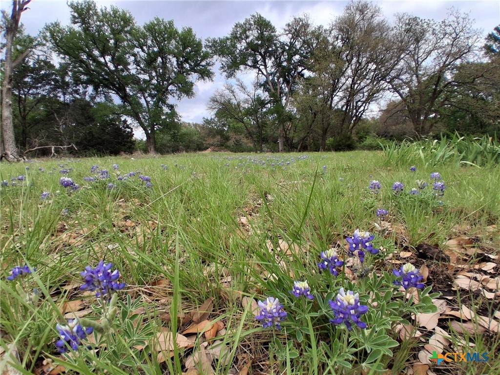 https://bt-photos.global.ssl.fastly.net/centraltx/orig_boomver_3_609379-2.jpg