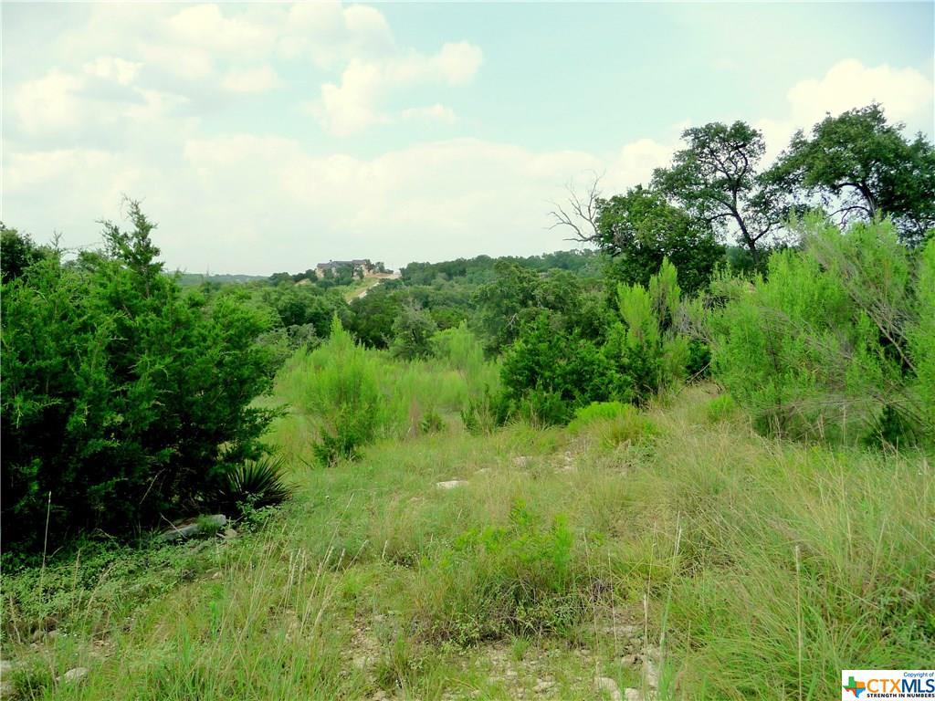 730 Caballo Trail - Photo 1