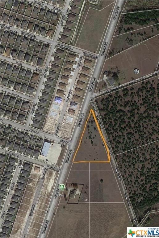 6300 Trimmier Road - Photo 1