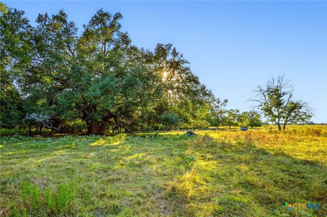 19587 Vilas Road - Photo 1