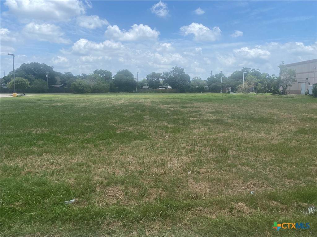 5008 Navarro Street - Photo 1