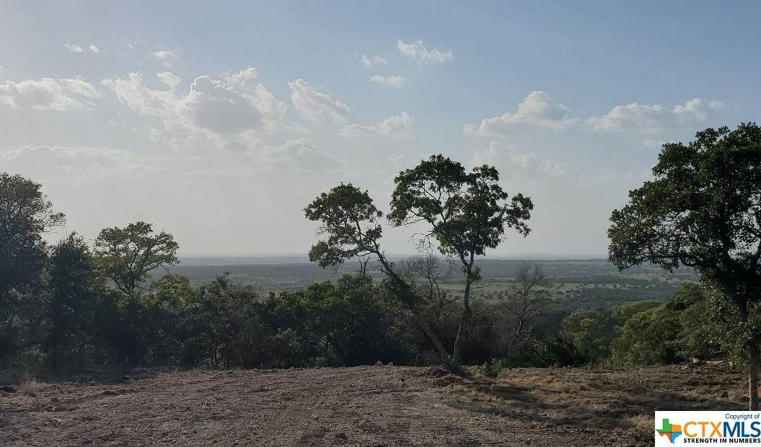 Lot 25 Cottonwood Mesa - Photo 1