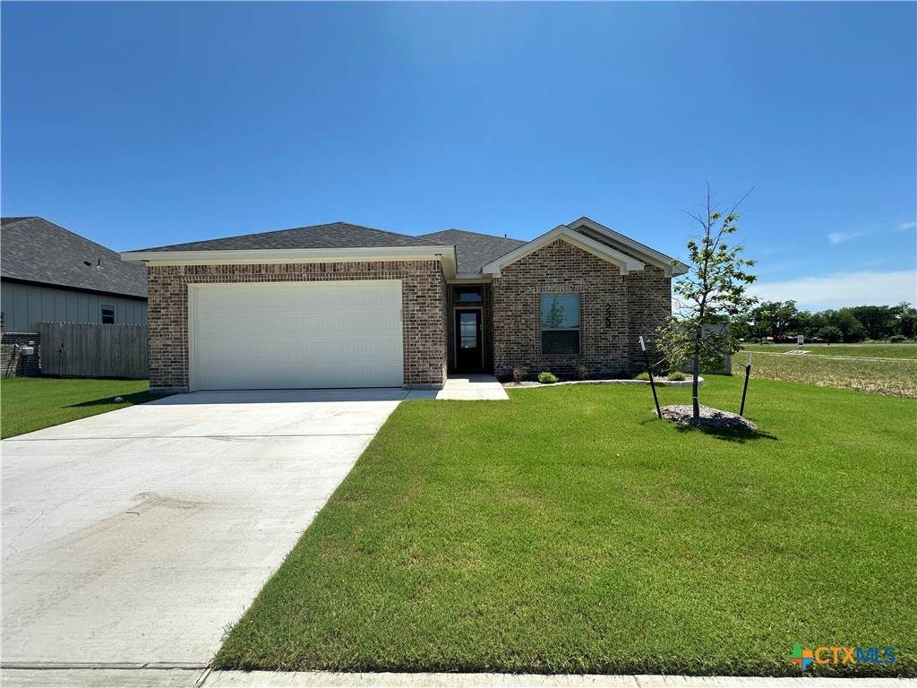 229 Desert Holly Drive - Photo 1