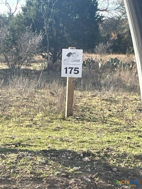 Lot 175 Heartleaf Drive - Photo 1
