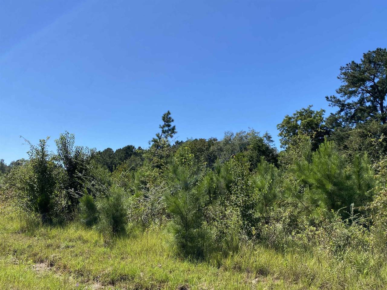 Lot 34 Harris Circle - Photo 1