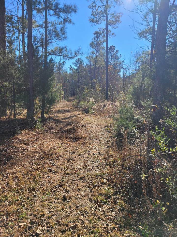 9058 Thomaston Road - Photo 1