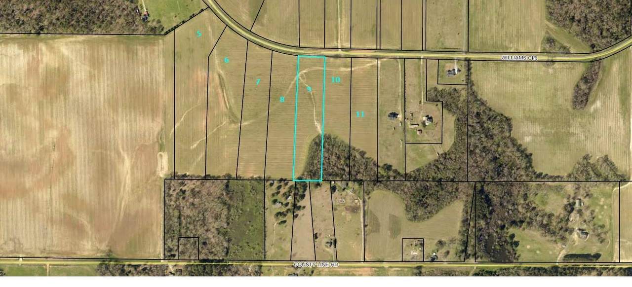 Williams Circle Lot 9 - Photo 1