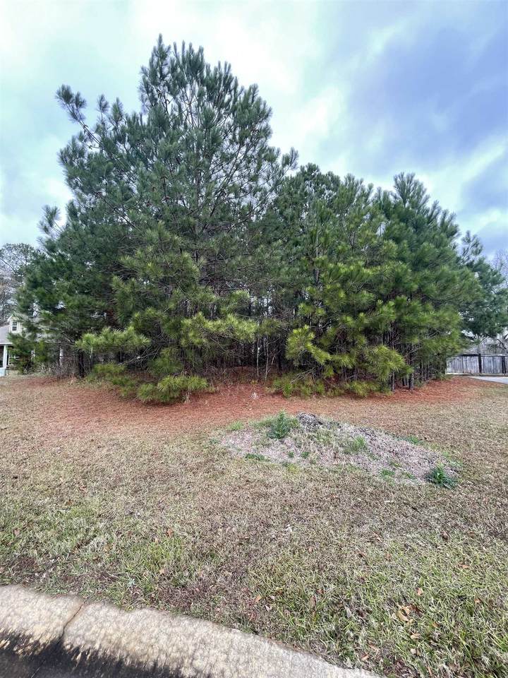 316 Wilsons Creek Bend - Photo 1