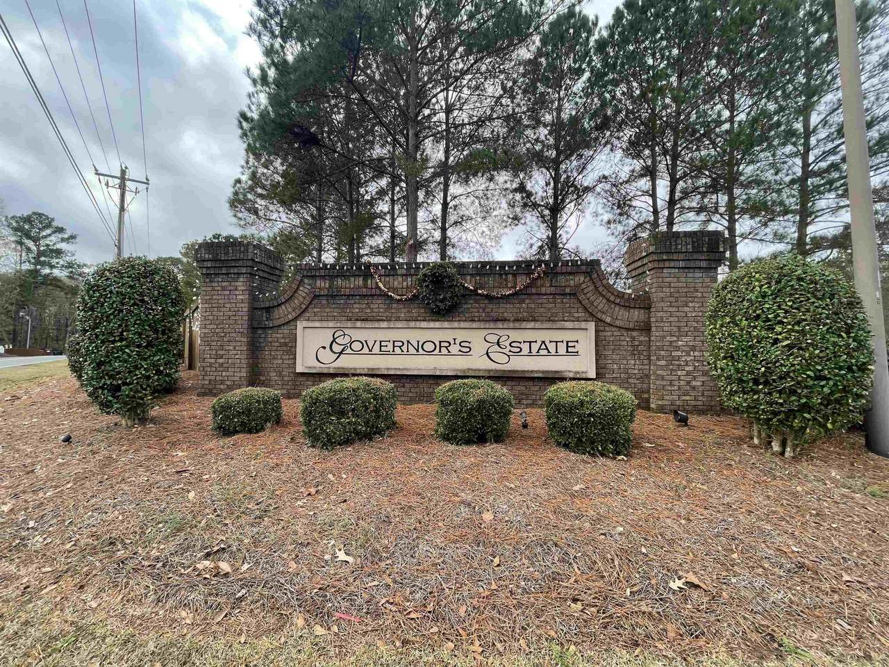 212 Wilsons Creek Bend - Photo 1