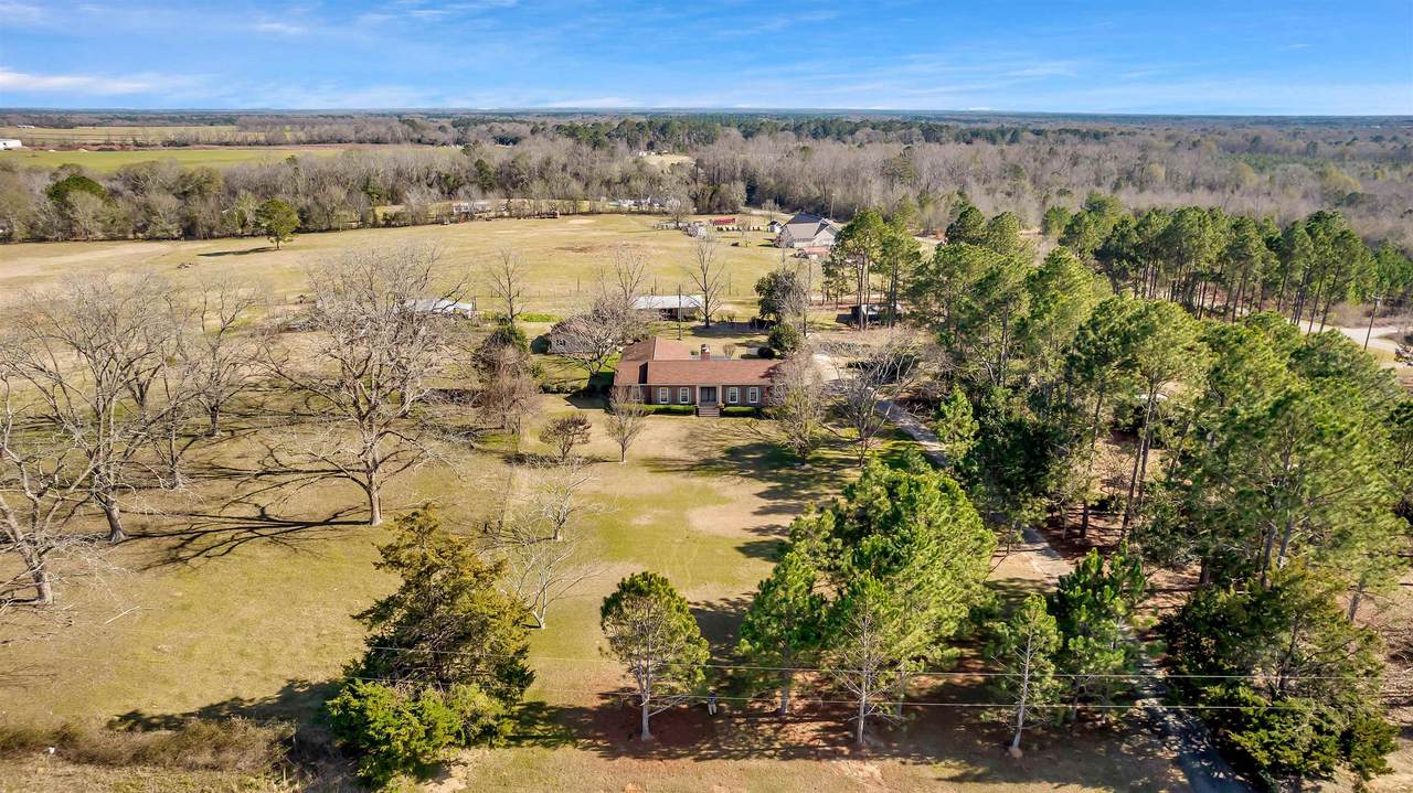 519 Vienna Highway - Photo 1