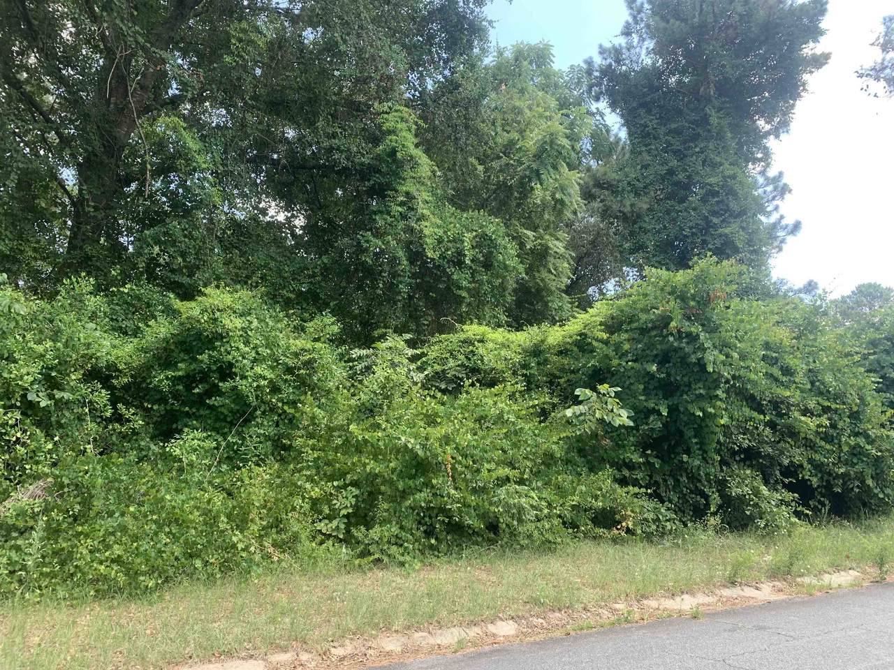 302 Turtle Creek Road - Photo 1