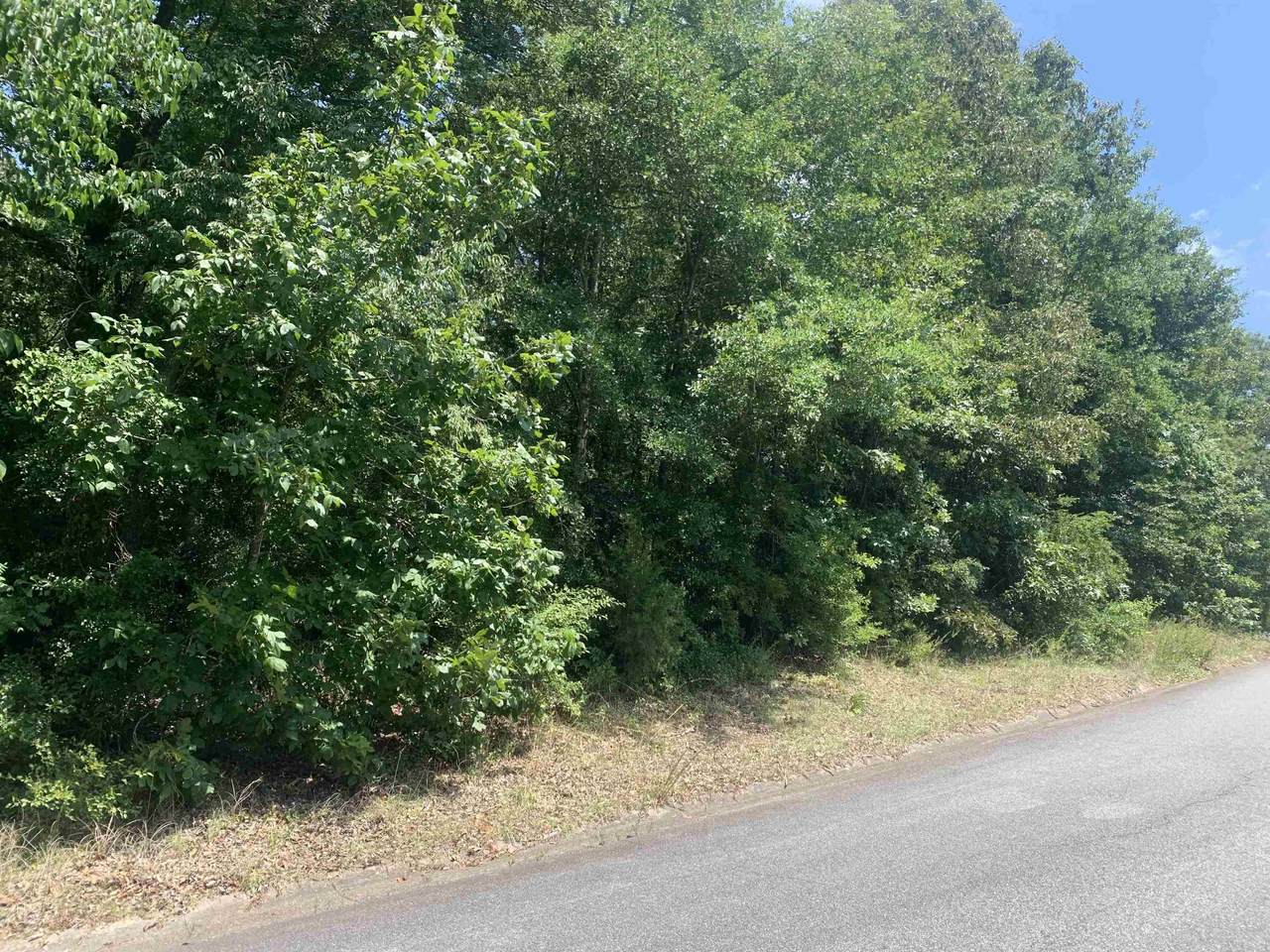 217 Blue Ridge Lane - Photo 1