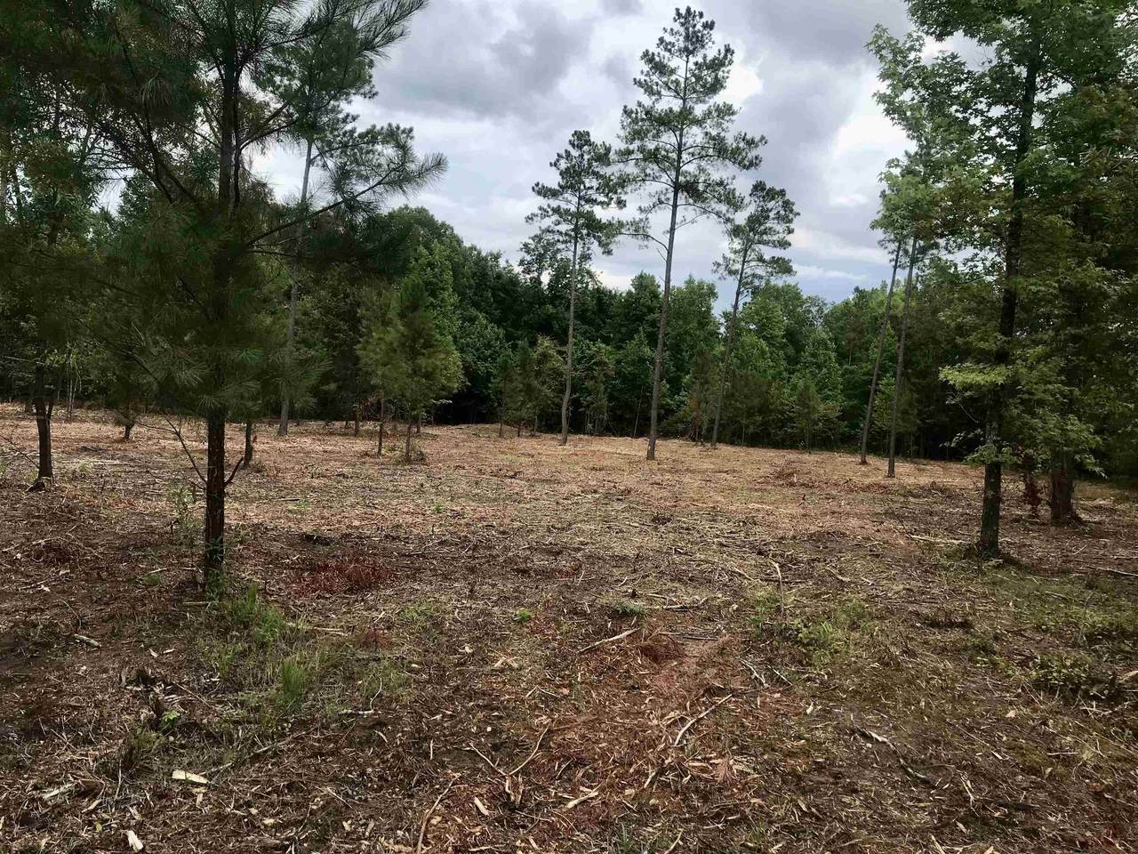2420 Dennis Road - Photo 1
