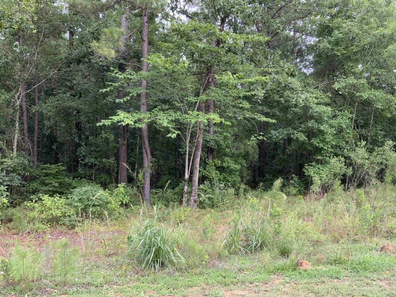 110 Belfaire Estates - Photo 1