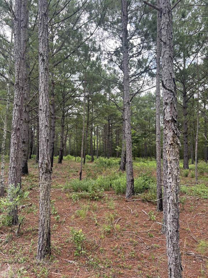 791 Buck Corbin Road - Photo 1