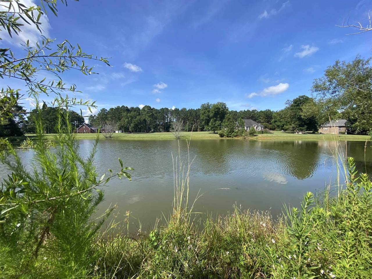 Pond Lot Race Track - Photo 1