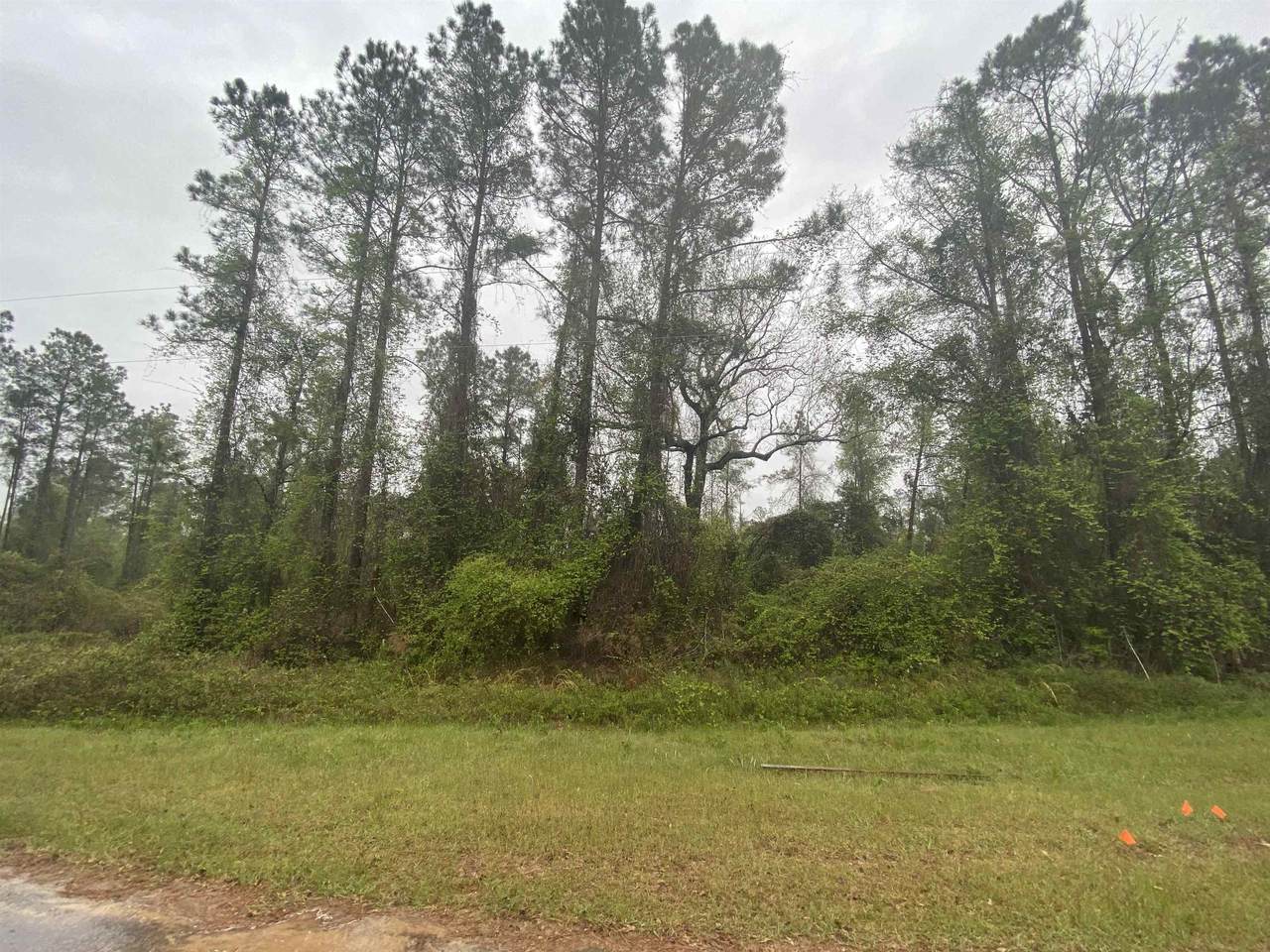 Lot 13 Hawkeye Court - Photo 1
