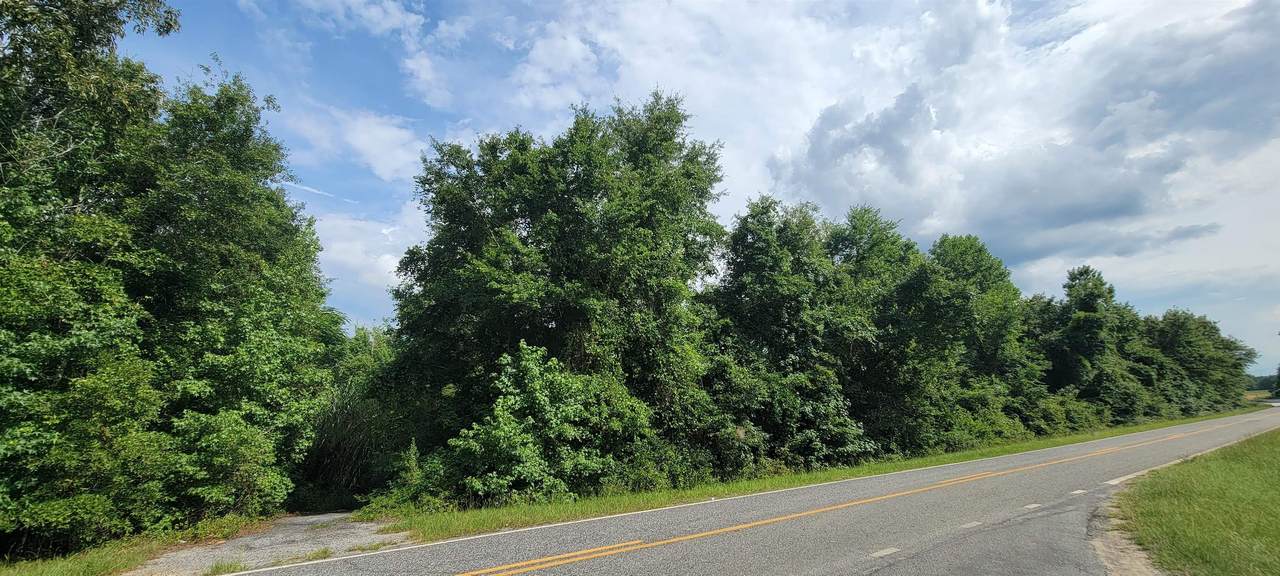 V/L Tippettville Road - Photo 1