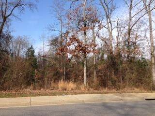 0 Lake Joy Road - Photo 1
