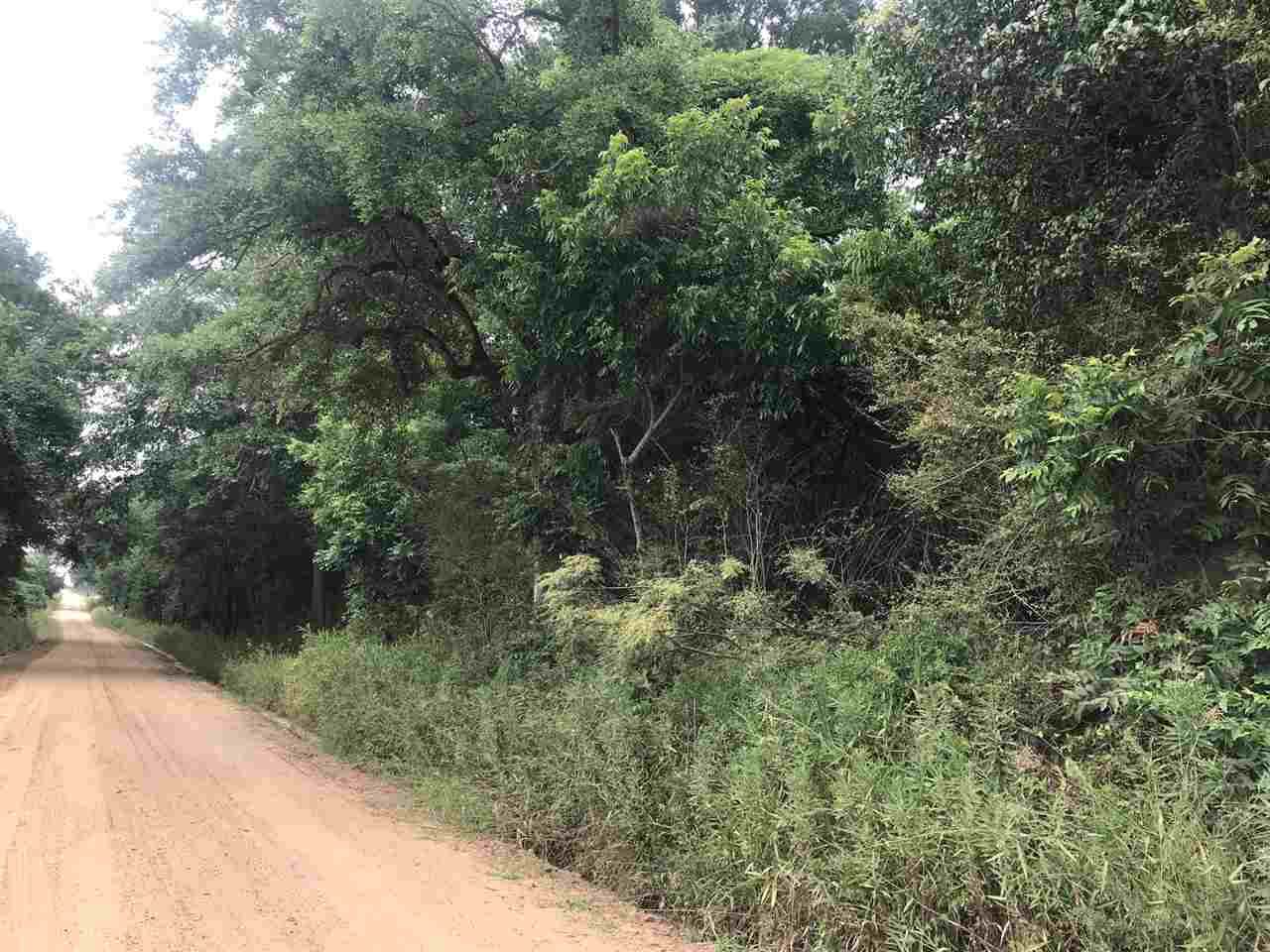 000 Brady Road - Photo 1