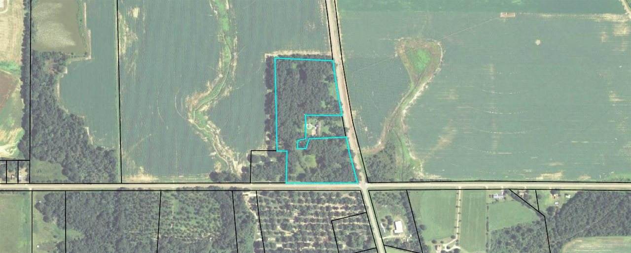 13.57 Acres Abbeville Highway - Photo 1
