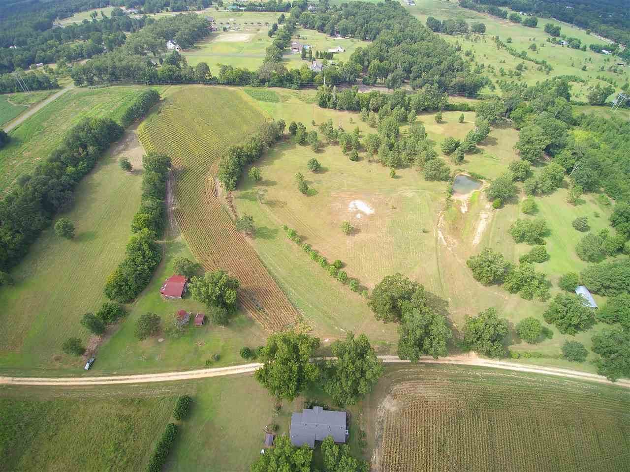 0 Holt Road - Photo 1