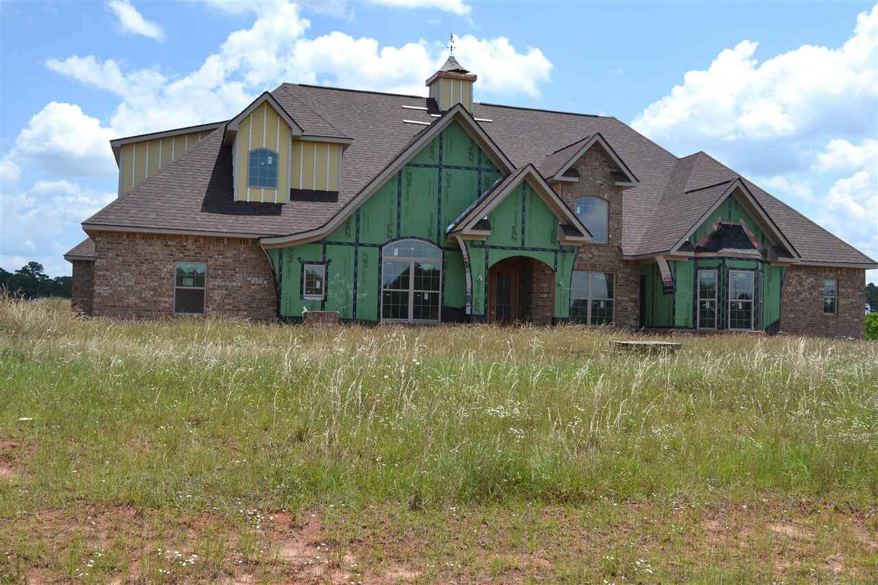 400 Live Oak Plantation Drive - Photo 1