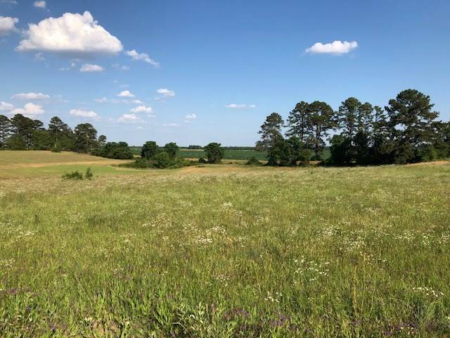 Red Dog Farm Road - Photo 1