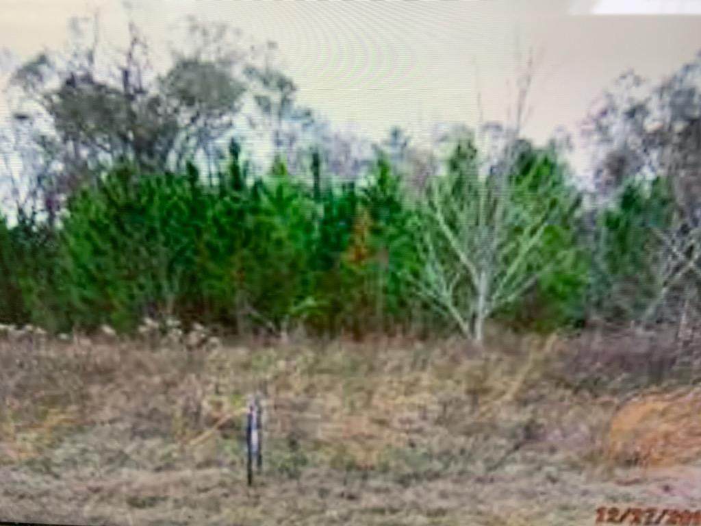 000 Williford Crossing - Photo 1