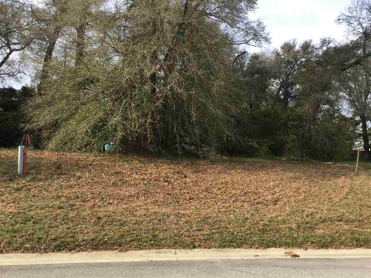 206 Hill Lane - Photo 1