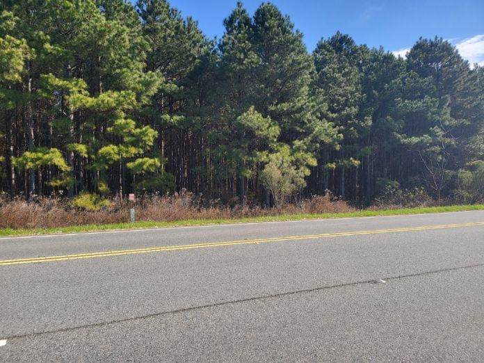 Hwy 41 - Photo 1