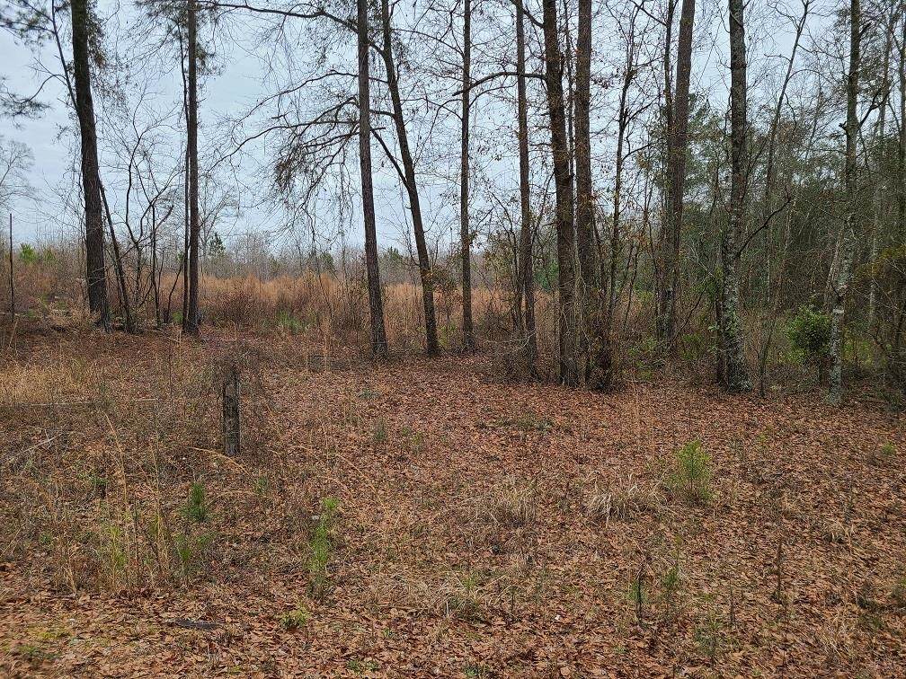 000 Willow Lake Road - Photo 1