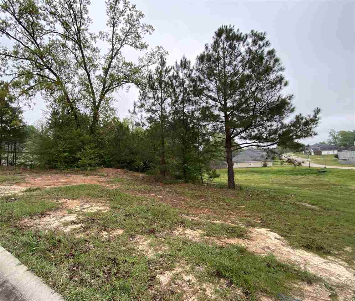 206 Mcvey Trail - Photo 1