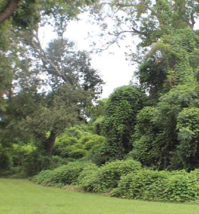 111 Moore Street - Photo 1