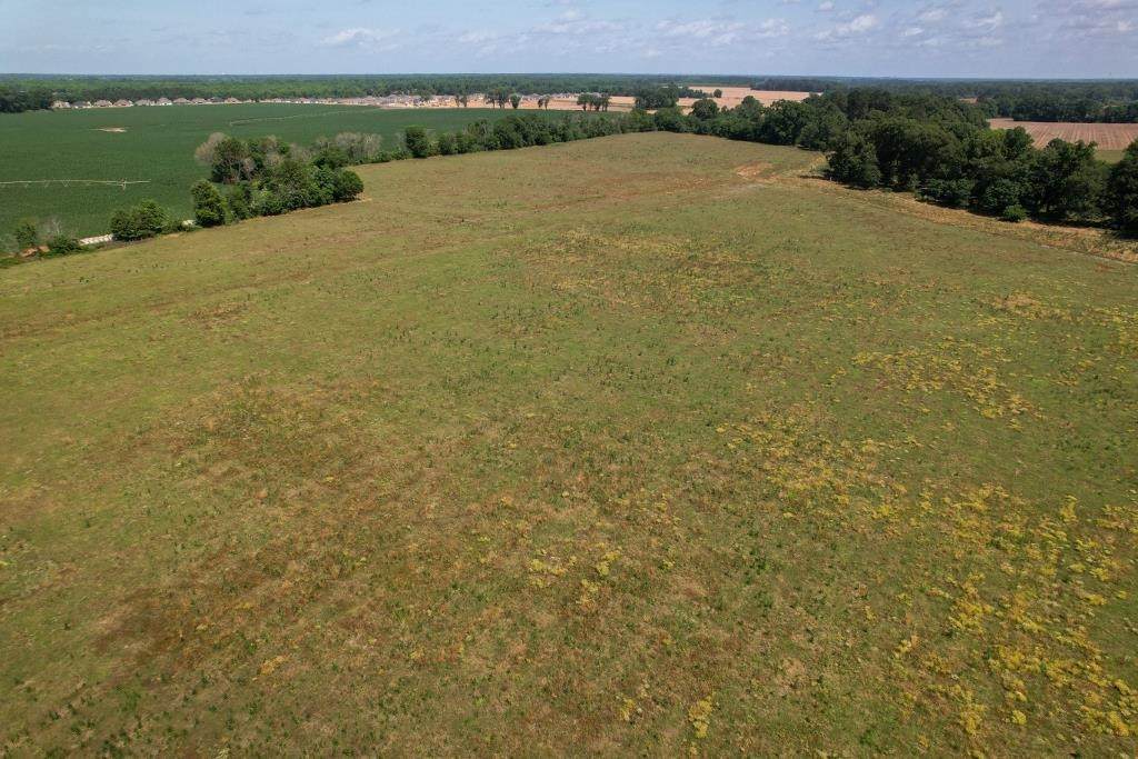 Saddle Creek Road - Photo 1