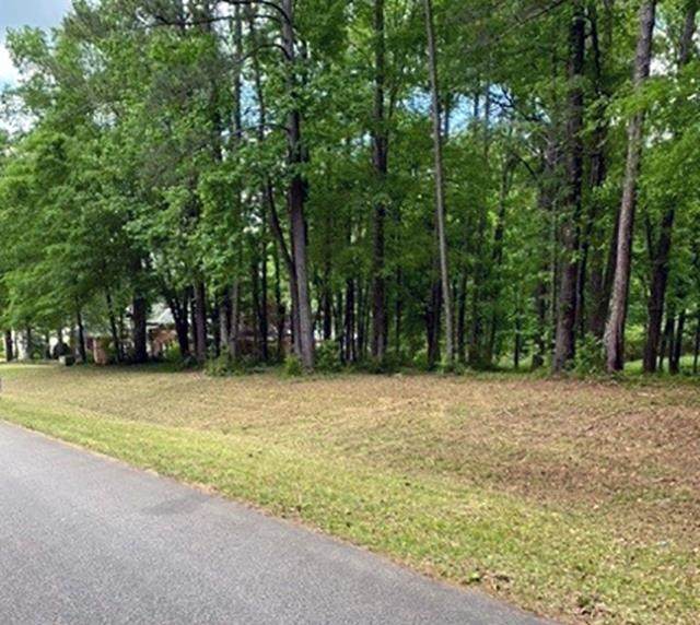 105 Howard Oaks Drive - Photo 1