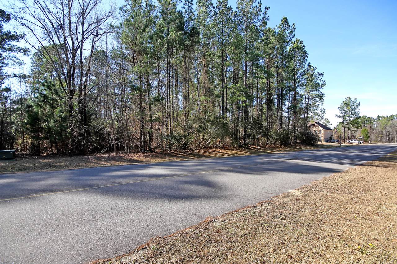 1201 Jump Seed Court - Photo 1