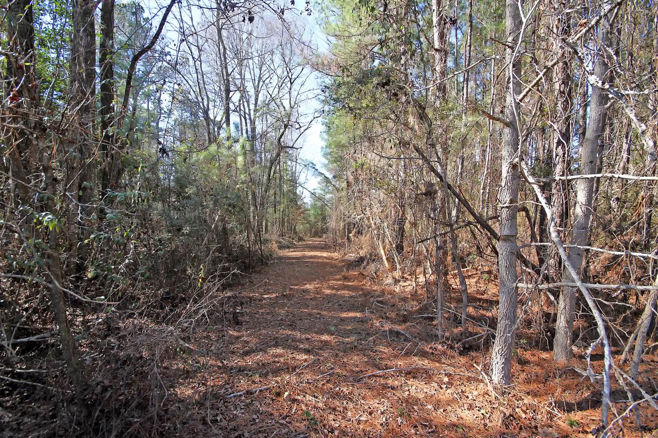 1201 Jump Seed Court - Photo 1